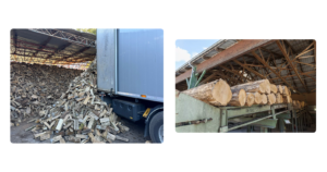 Bois de feu et sciage: une solution locale, durable et pratique